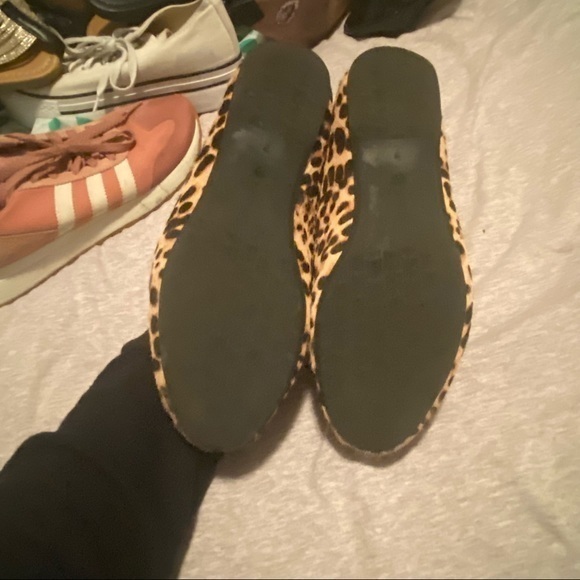 Birdies The Starling
Cheetah Calf Hair - Picture 3 of 8